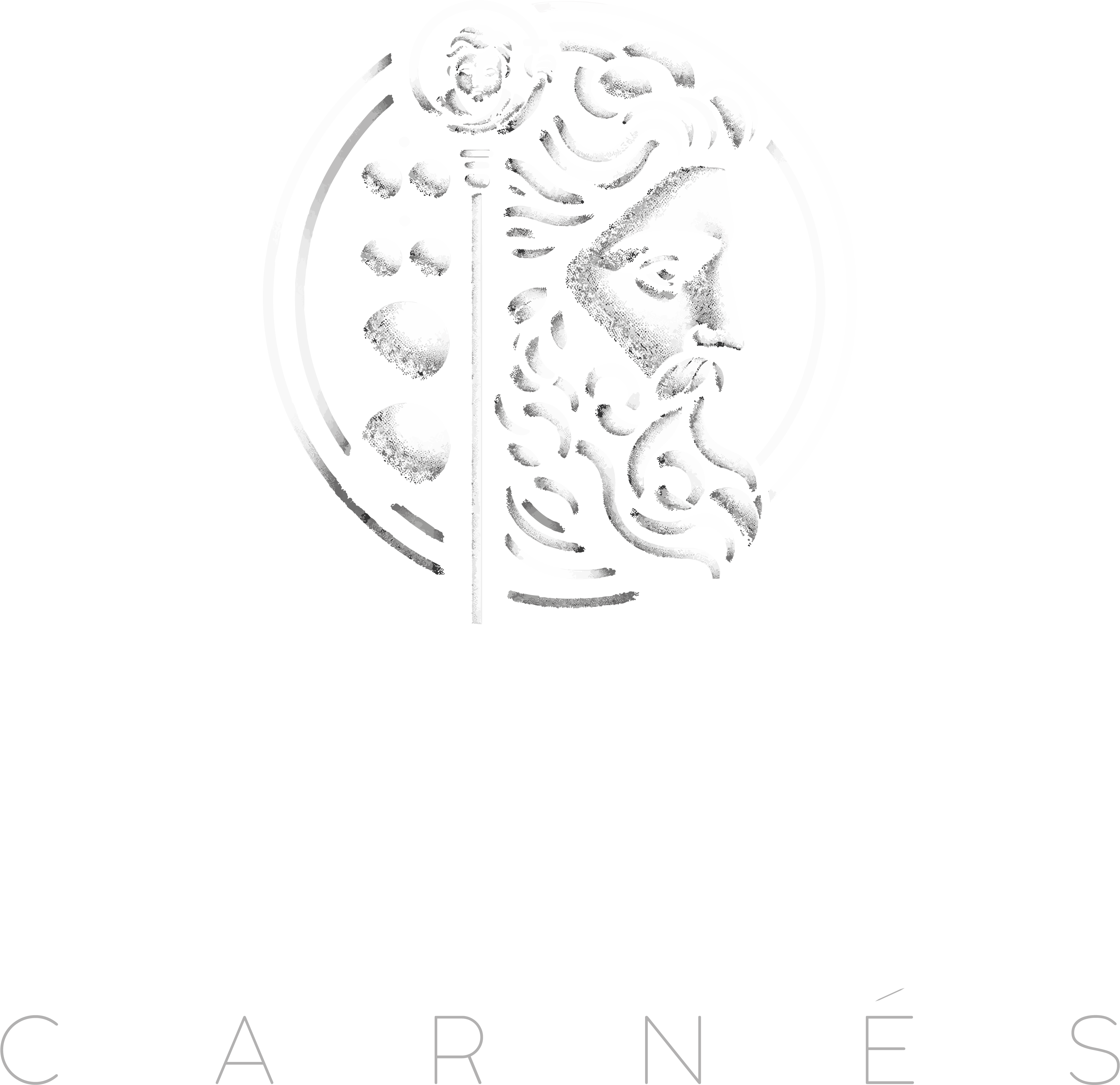 Faguía Carnés logo